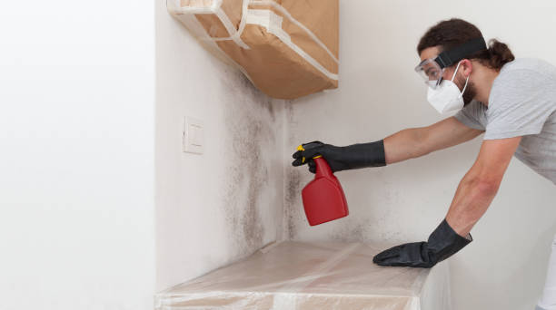 Professional Mold Inspection And Testing technician working in Lockport, NY